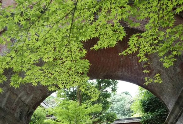 南禅寺の写真・動画_image_150908