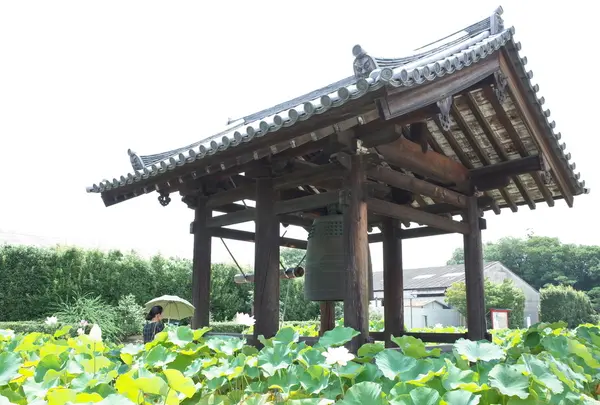 薬師寺の写真・動画_image_150971