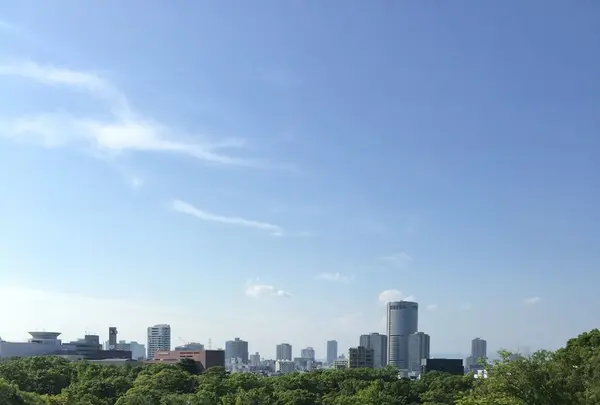大阪城の写真・動画_image_151065