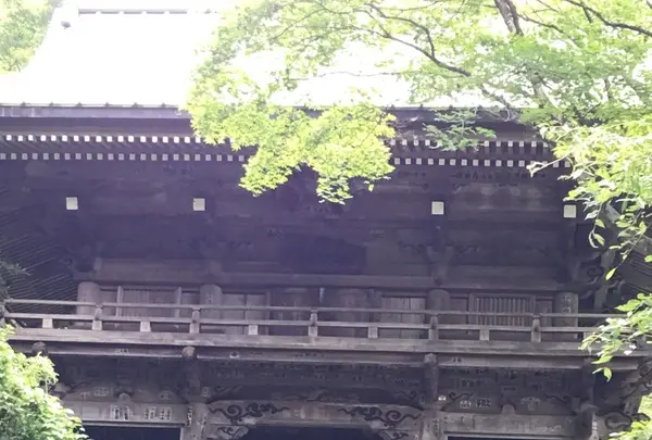 槙尾山施福寺の写真・動画_image_151066