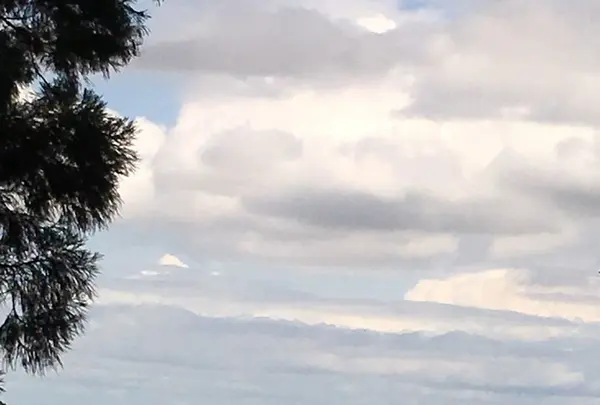 槙尾山施福寺の写真・動画_image_151067