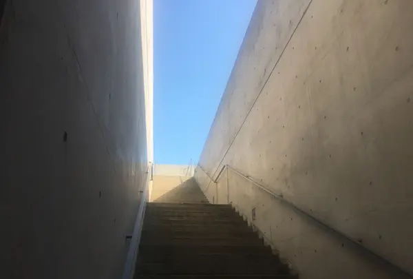 本福寺の写真・動画_image_151342