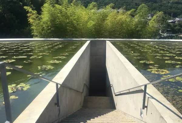 本福寺の写真・動画_image_151343