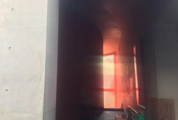 本福寺の写真・動画_image_151344
