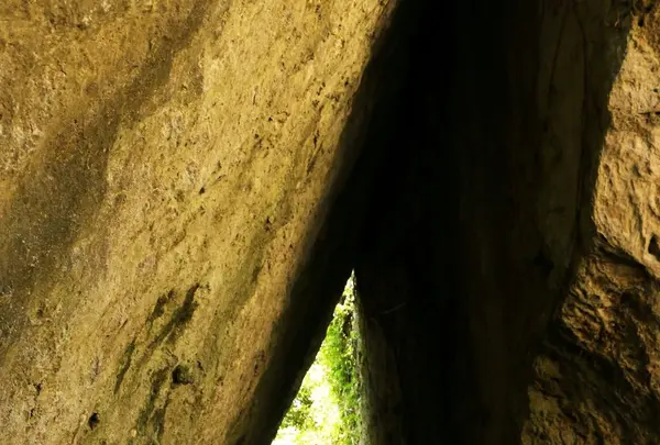 斎場御嶽の写真・動画_image_151382