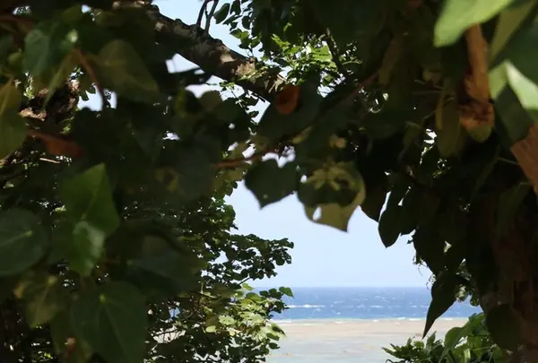 米原ビーチの写真・動画_image_151405