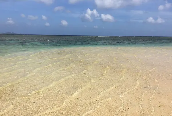 米原ビーチの写真・動画_image_151407