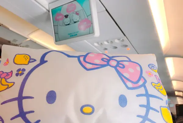 台湾桃園国際機場（Taiwan Taoyuan International Airport）の写真・動画_image_151774