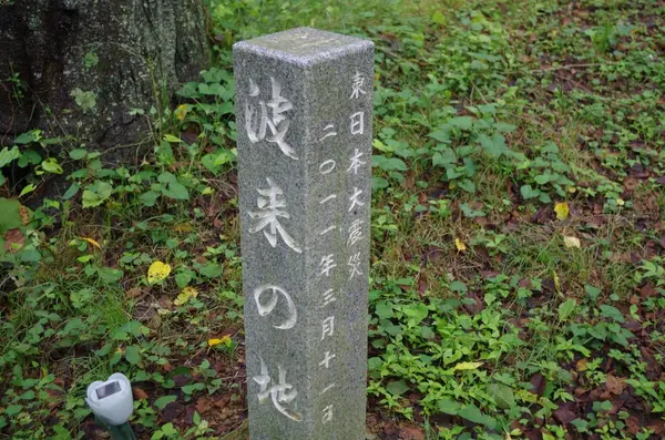 上山八幡宮の写真・動画_image_151806