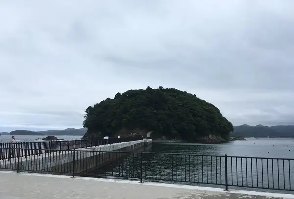 志津川海水浴場「サンオーレそではま」の写真・動画_image_151811