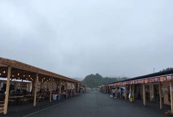 南三陸さんさん商店街の写真・動画_image_152075