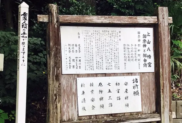 上山八幡宮の写真・動画_image_152076