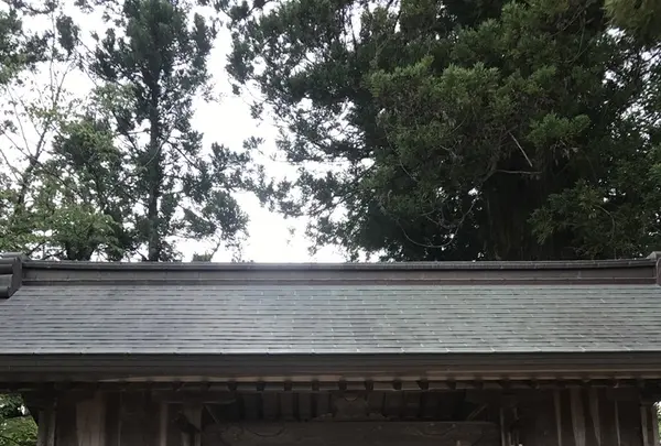 八重垣神社の写真・動画_image_152278