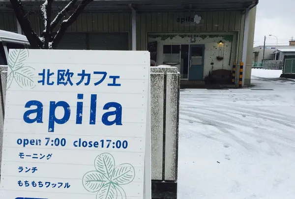 apilaの写真・動画_image_152419
