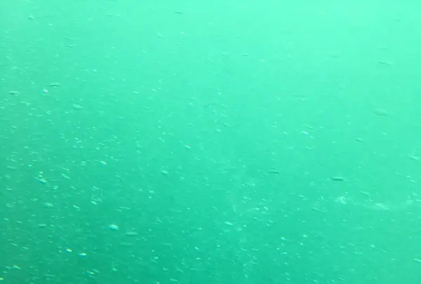 鳴門渦潮の写真・動画_image_152525
