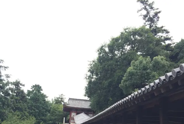 吉備津神社の写真・動画_image_152585