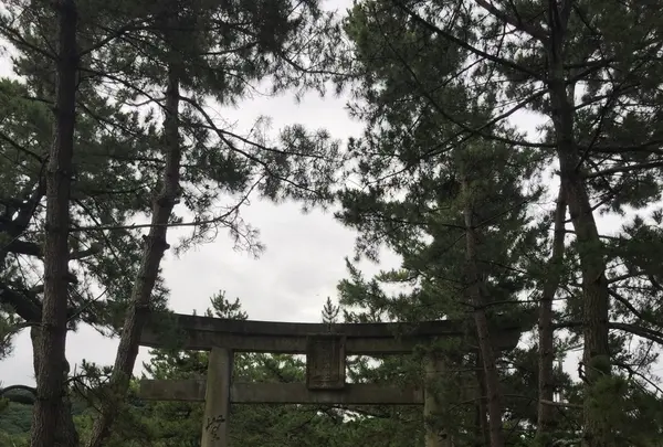 吉備津神社の写真・動画_image_152587