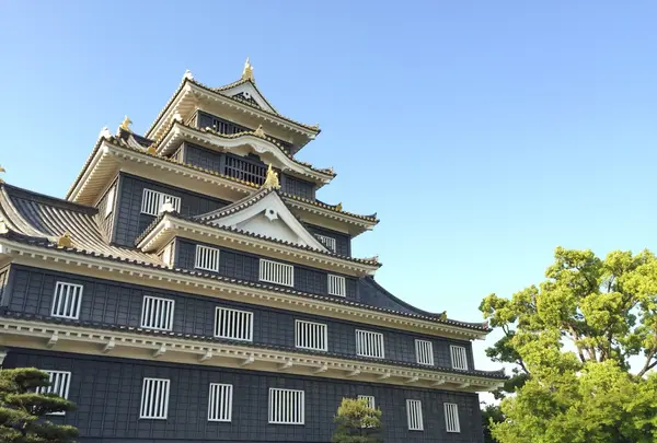 岡山城の写真・動画_image_152637