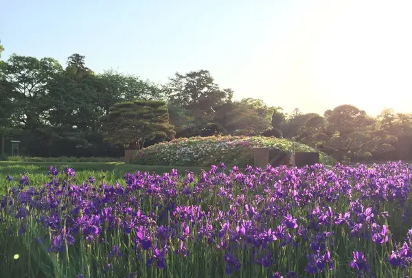 岡山後楽園の写真・動画_image_152638