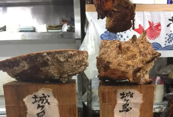 まぐろ工房・くろば亭の写真・動画_image_152655