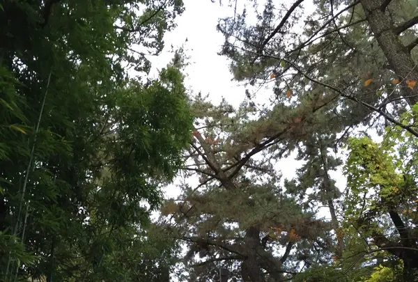 福山城の写真・動画_image_152711