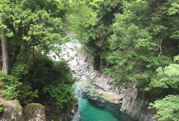 阿寺渓谷の写真・動画_image_152752