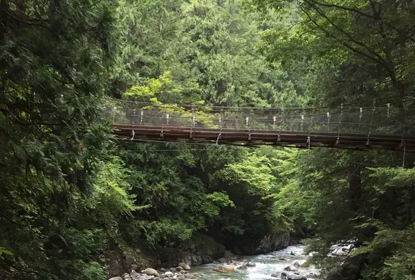 阿寺渓谷の写真・動画_image_152757