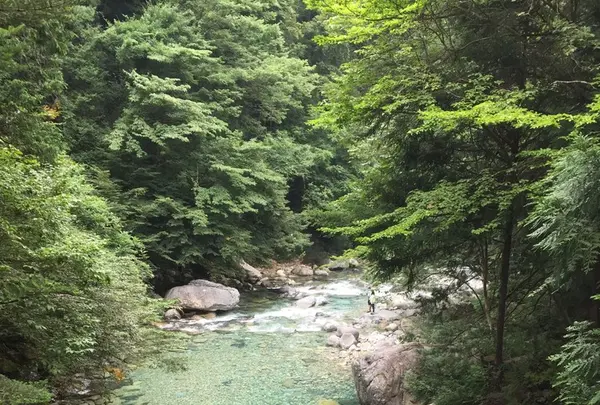阿寺渓谷の写真・動画_image_152772