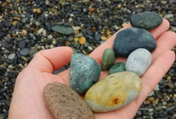 ヒスイ海岸の写真・動画_image_152902