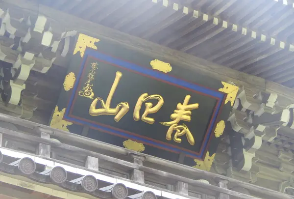 林泉寺の写真・動画_image_152919