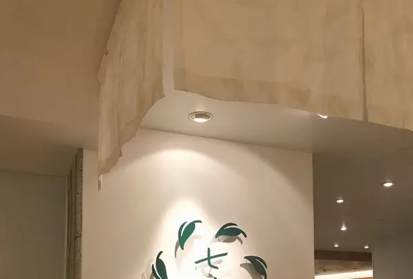 nanaha 新宿小田急百貨店の写真・動画_image_153013