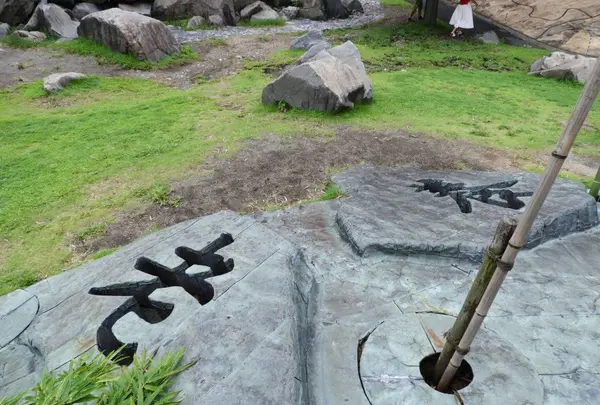 養老天命反転地の写真・動画_image_153151