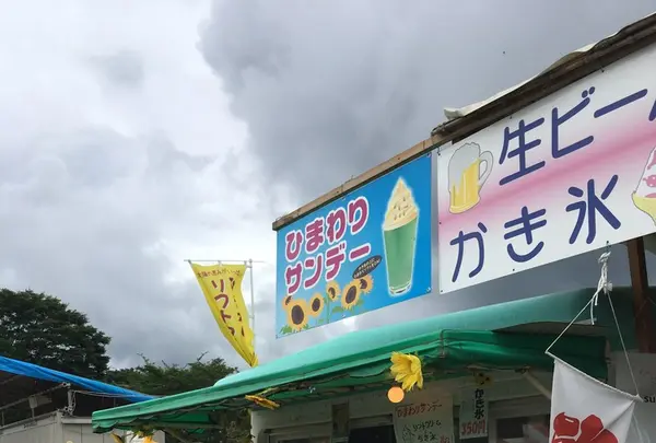 明野サンフラワーフェスティバル浅尾新田会場の写真・動画_image_153159