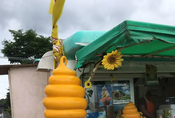 明野サンフラワーフェスティバル浅尾新田会場の写真・動画_image_153160