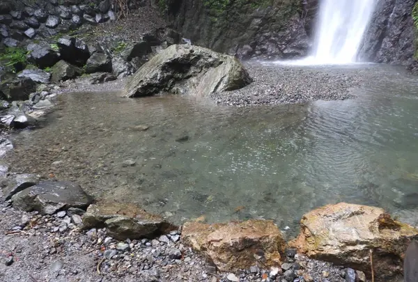 養老の滝の写真・動画_image_153166