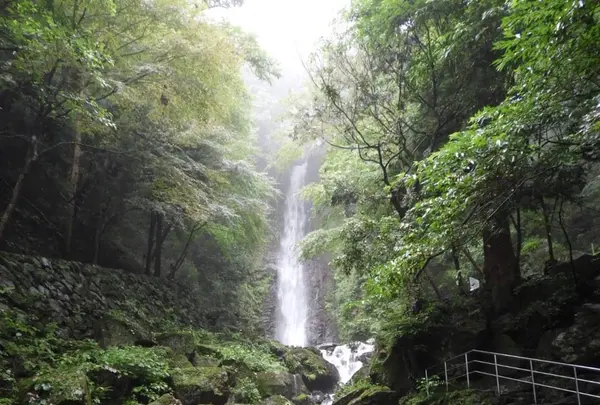 養老の滝の写真・動画_image_153169