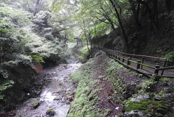 養老の滝の写真・動画_image_153173