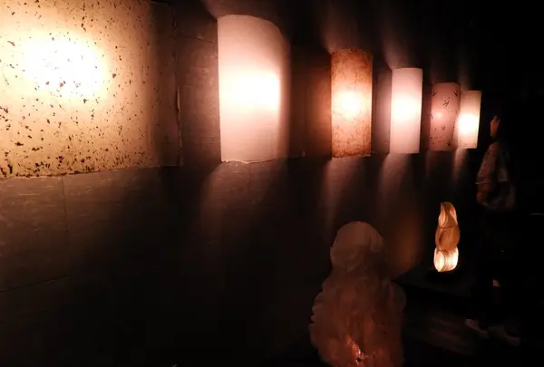 美濃和紙あかりアート館の写真・動画_image_153205