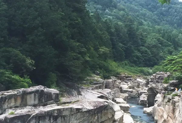 寝覚の床の写真・動画_image_153244