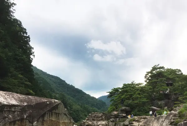 寝覚の床の写真・動画_image_153245