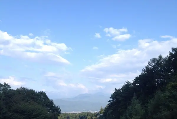 こまくさ橋の写真・動画_image_153314