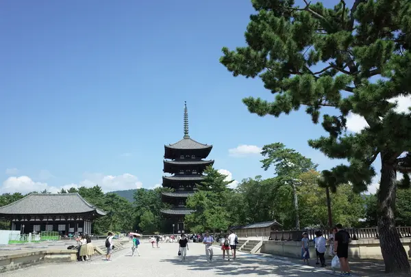 興福寺の写真・動画_image_153333