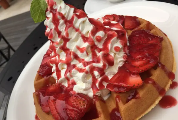 Urth Caffé 代官山店（アースカフェ）の写真・動画_image_153382