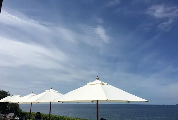 ベーカリー＆レストラン しまふうみの写真・動画_image_153471