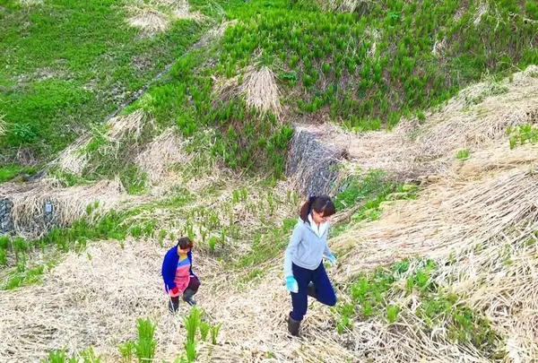 農家民宿 新助の写真・動画_image_153529