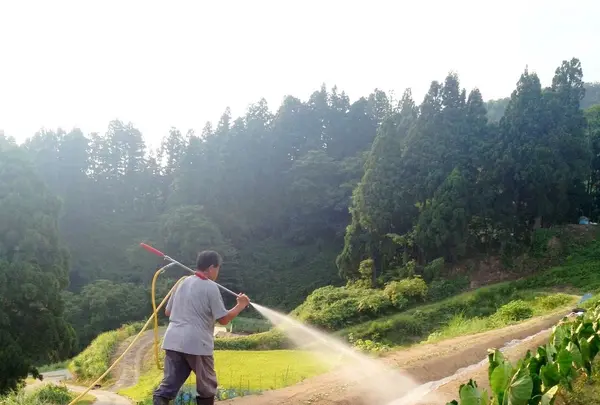 農家民宿 新助の写真・動画_image_153548