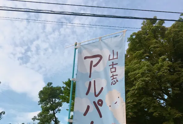 山古志アルパカ牧場の写真・動画_image_153552