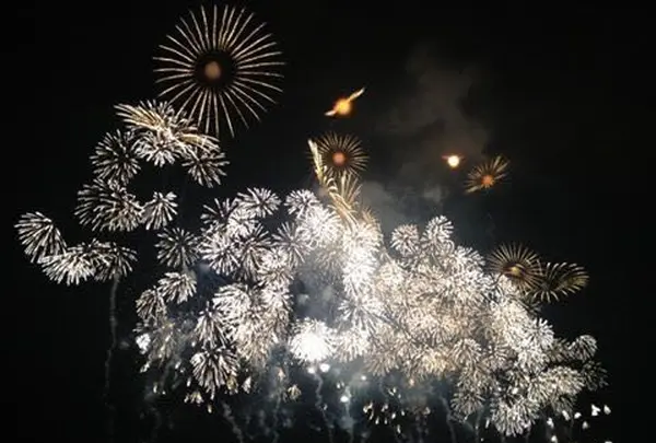 おぢやまつり花火大会の写真・動画_image_153555