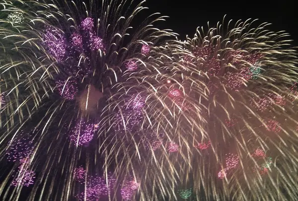 おぢやまつり花火大会の写真・動画_image_153556