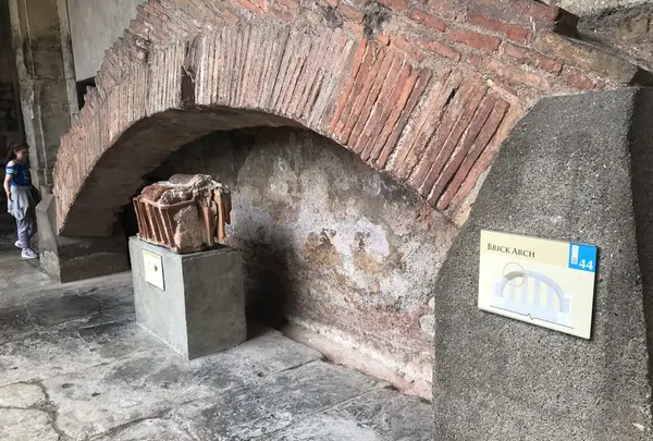 ローマン・バースの写真・動画_image_153687